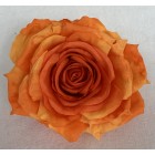 Róża wyrobowa EXCLUSIVE (6-pak) kolor OR10